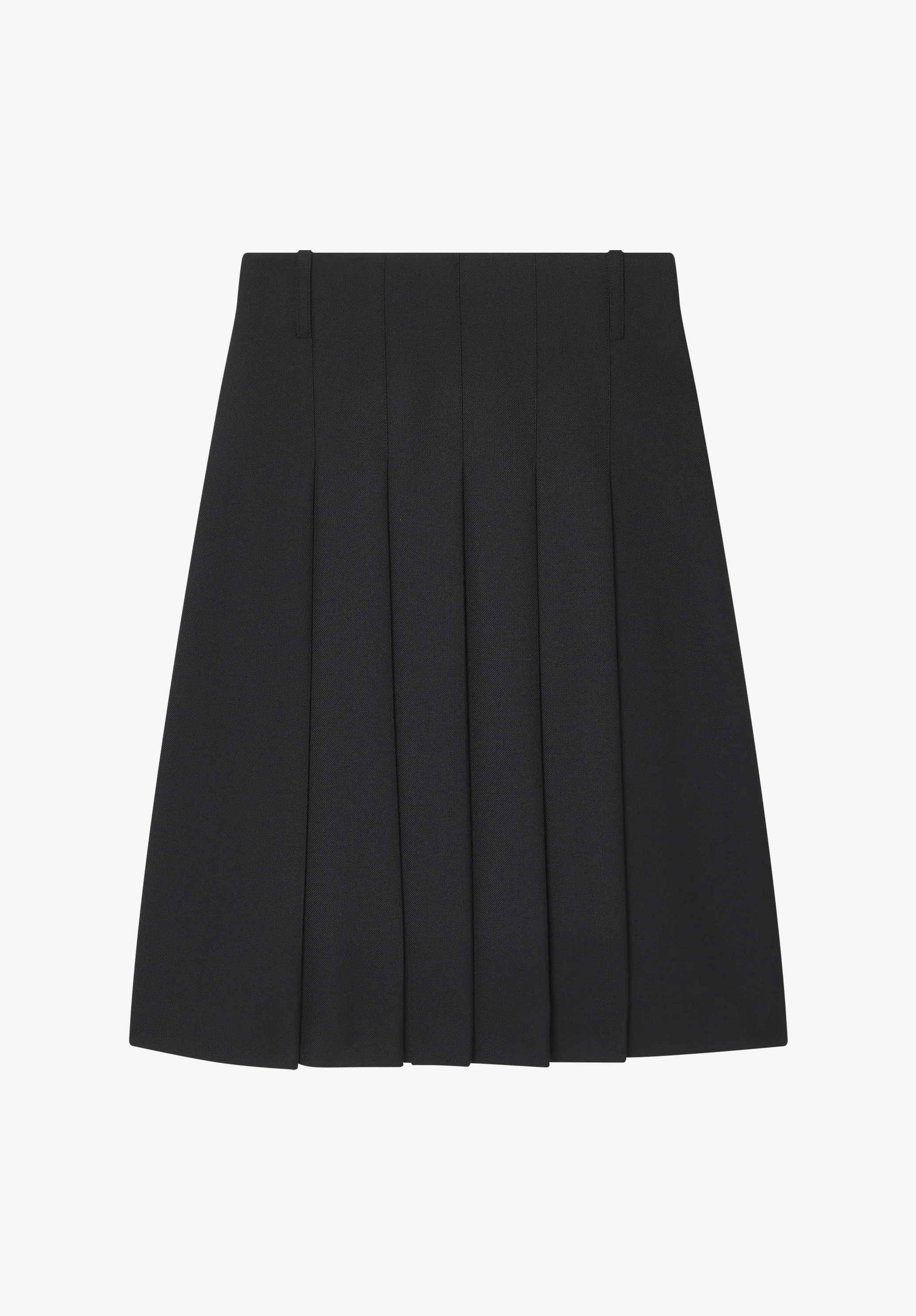 Long pleated skirt