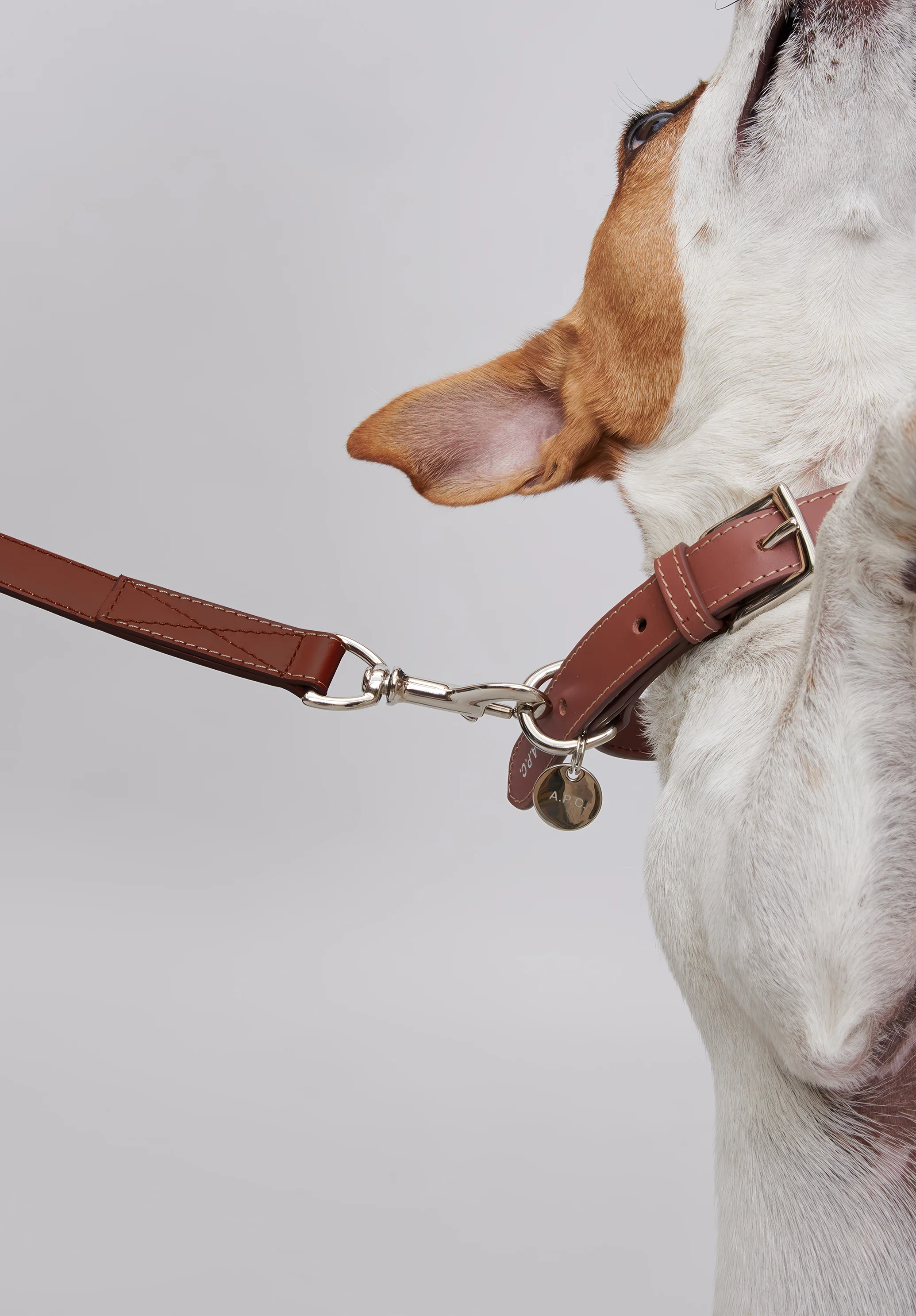 Toutou leather collar - Image 3